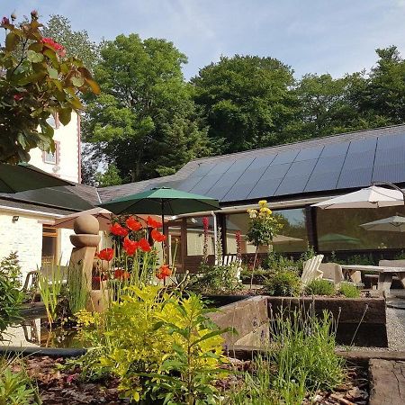 Glan Brennig Bed & Breakfast Tregaron Luaran gambar