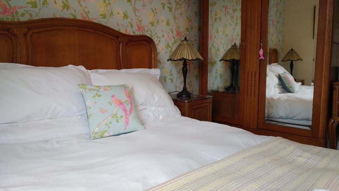 Glan Brennig Bed & Breakfast Tregaron Luaran gambar