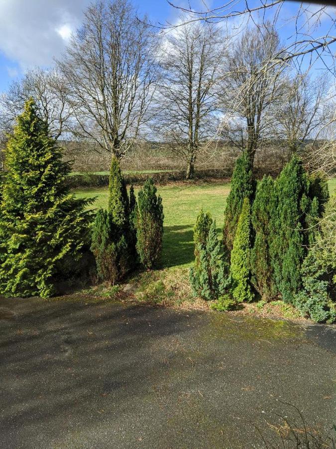 Glan Brennig Bed & Breakfast Tregaron Luaran gambar