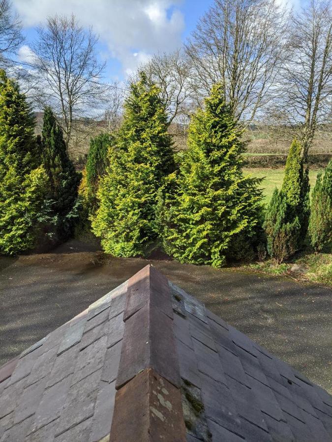 Glan Brennig Bed & Breakfast Tregaron Luaran gambar
